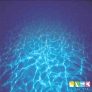 Aquarium background-872_